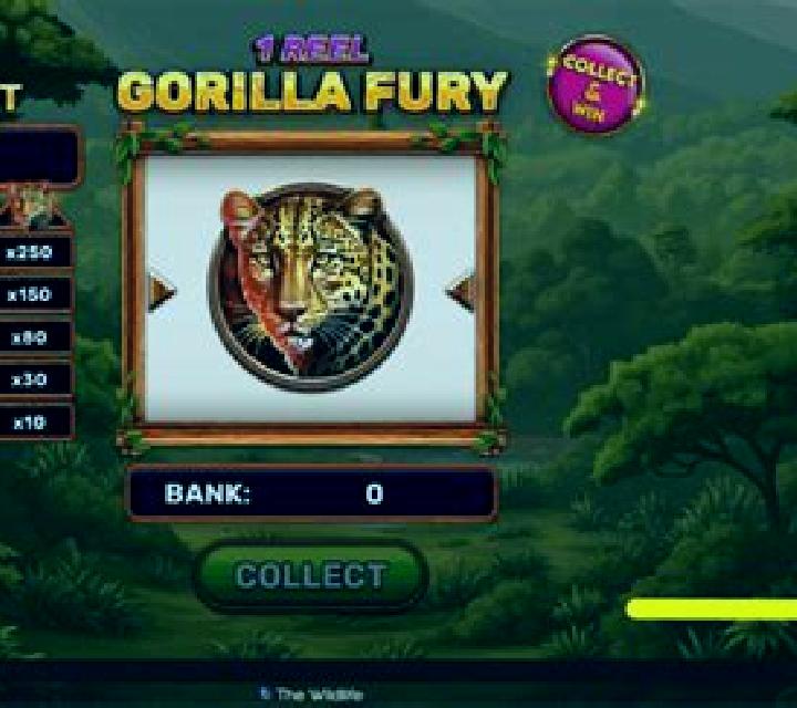 1 Reel - Gorilla Fury slot