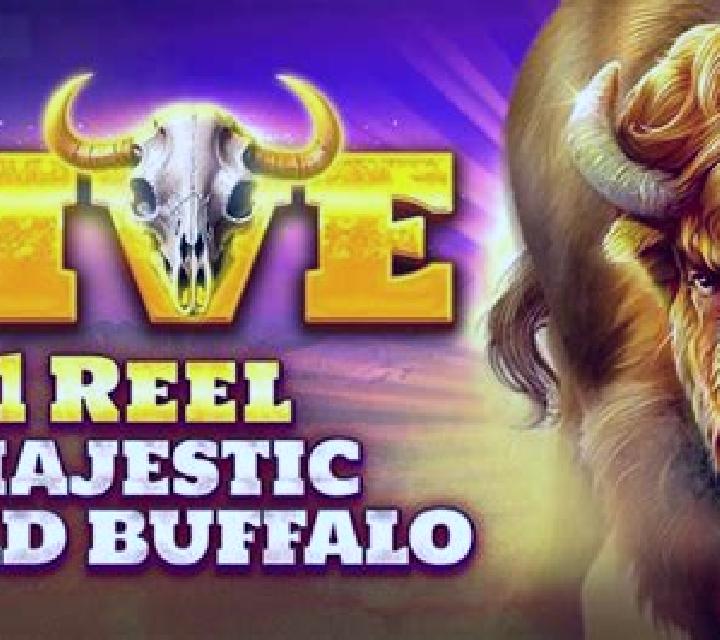 1 Reel Majestic Wild Buffalo slot game