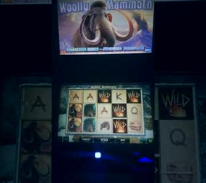 1 Reel Mammoth slot machine