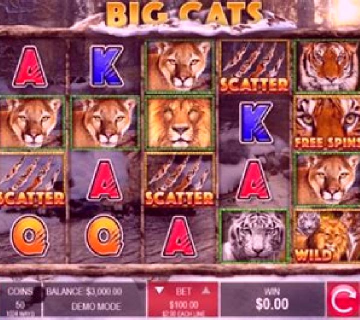 100 Cats online slot