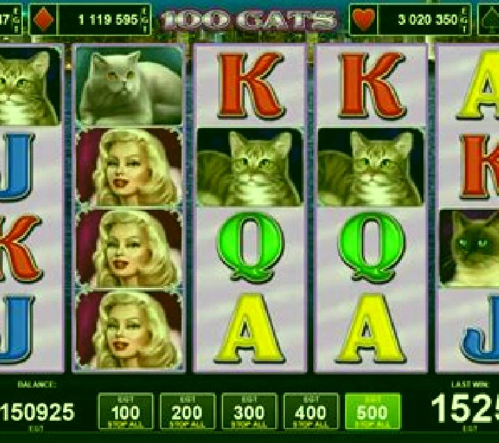 100 Cats slot game