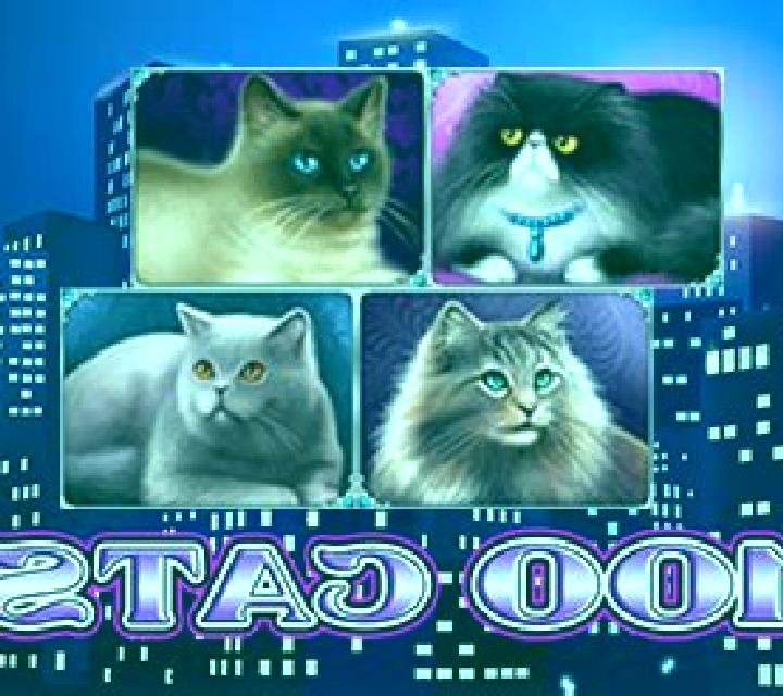 100 Cats slot