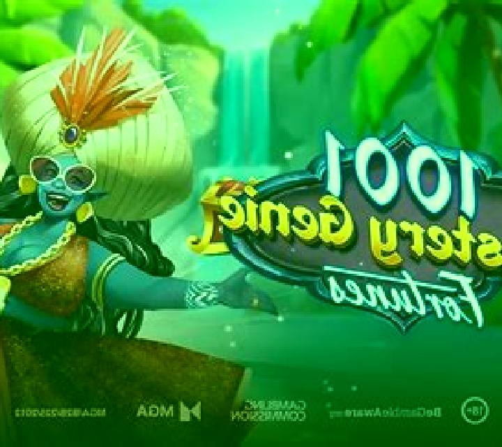 1001 Mystery Genie Fortunes slot game
