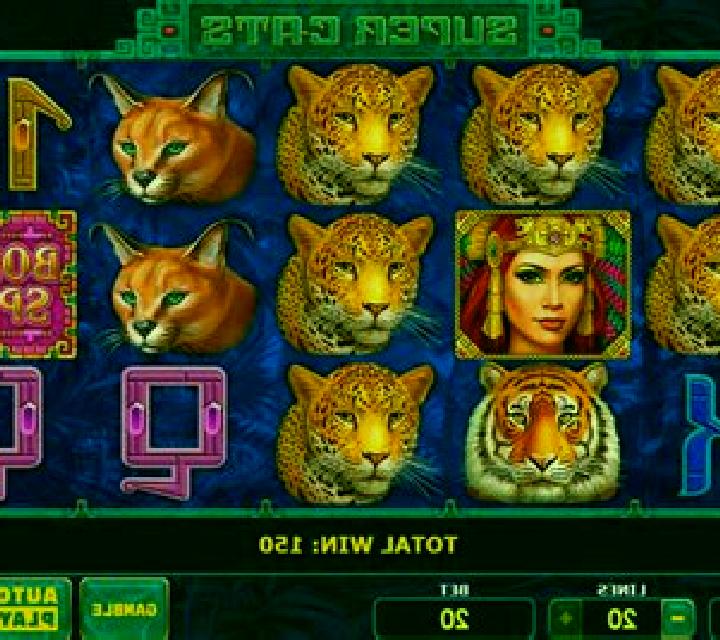 13 Black Cats slot game