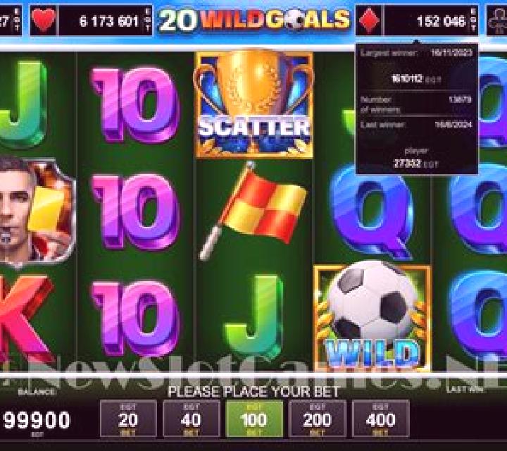 20 Wild Goals slot game