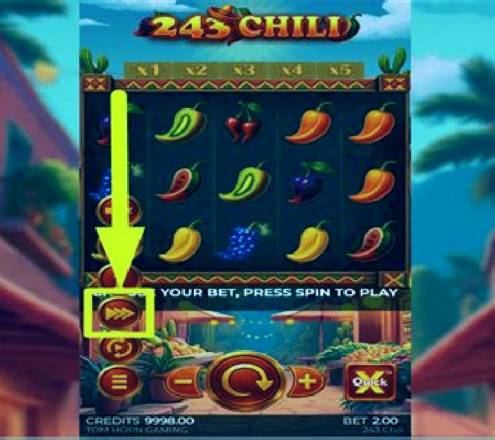 243 Chili slot
