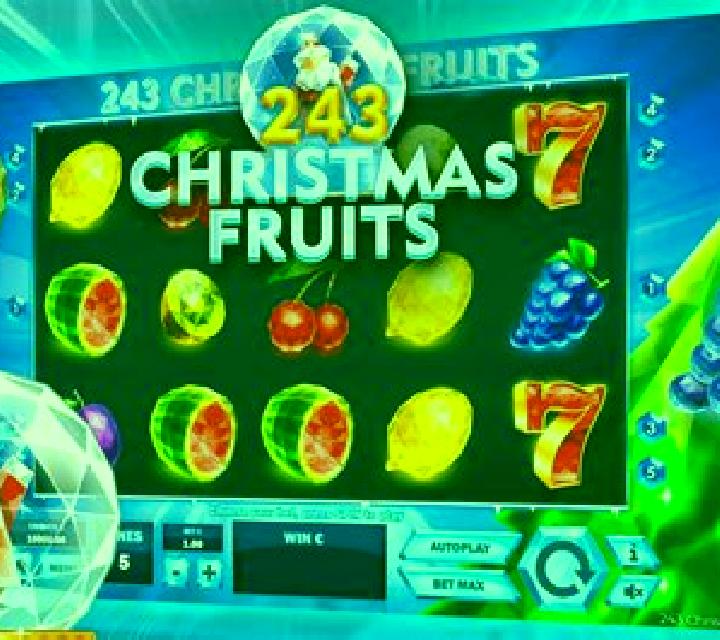 243 Christmas Fruits slot machine