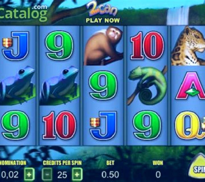 2Can slot
