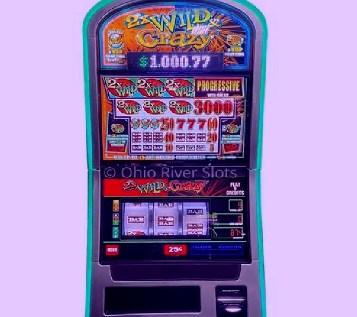 2x Wild & Crazy slot