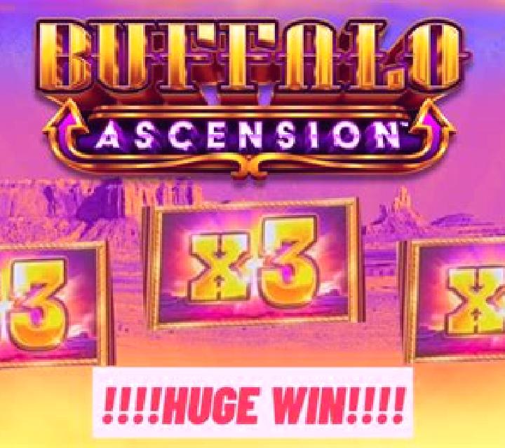 3 Blazing Buffalos: Hold & Win slot machine