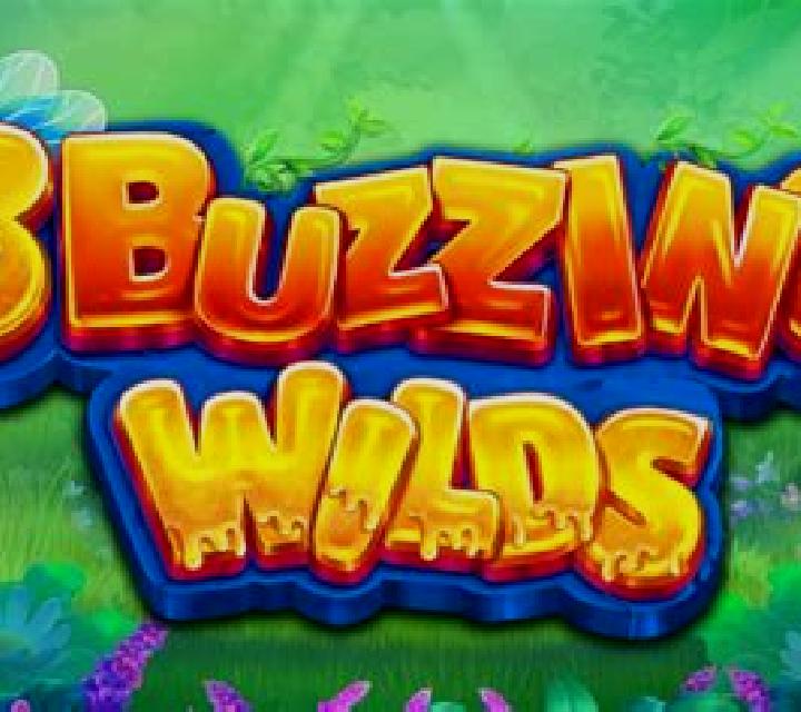 3 Buzzing Wilds slot