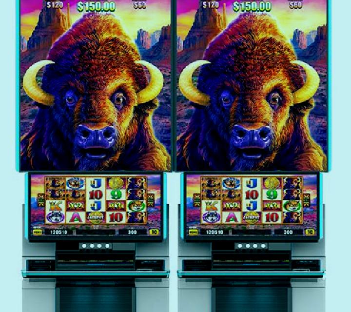 3 Pot Buffalo slot machine