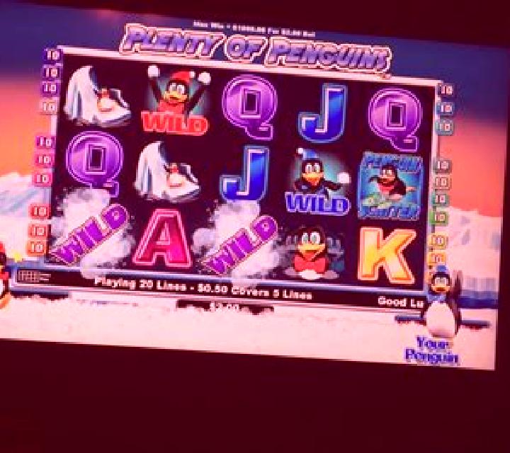 3 Rockin Penguins slot machine