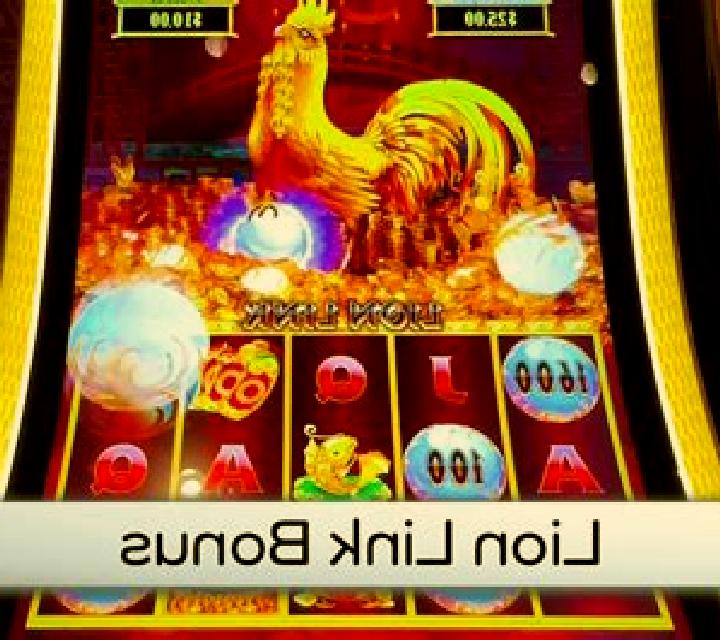 3 Wild Lions slot game