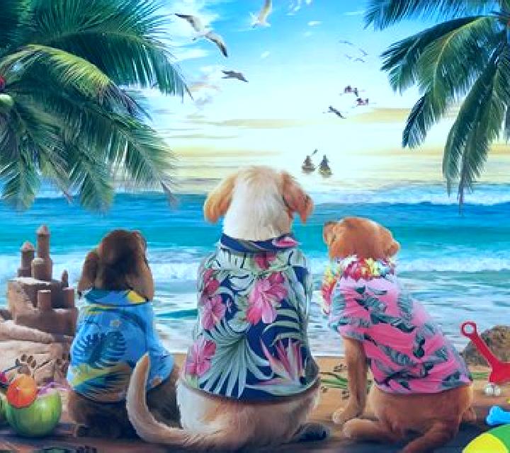 3 Wonders Santa on the Beach online slot