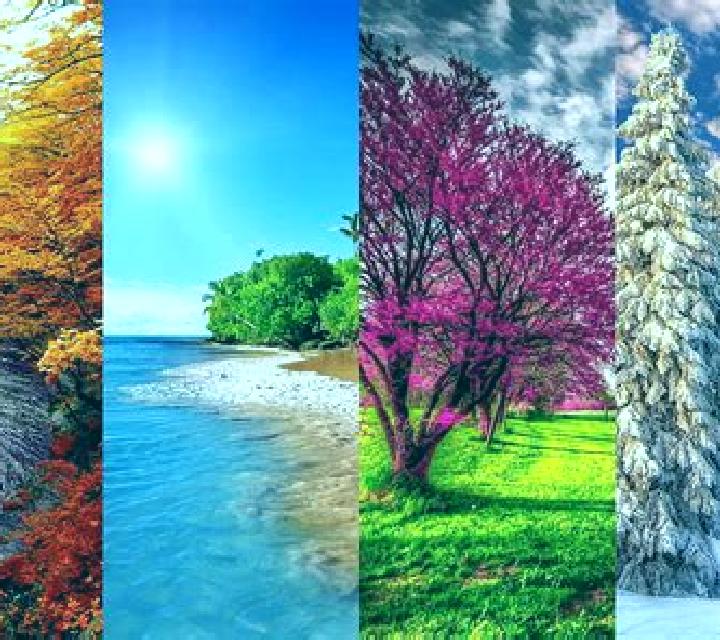 4 Seasons: Winter slot game