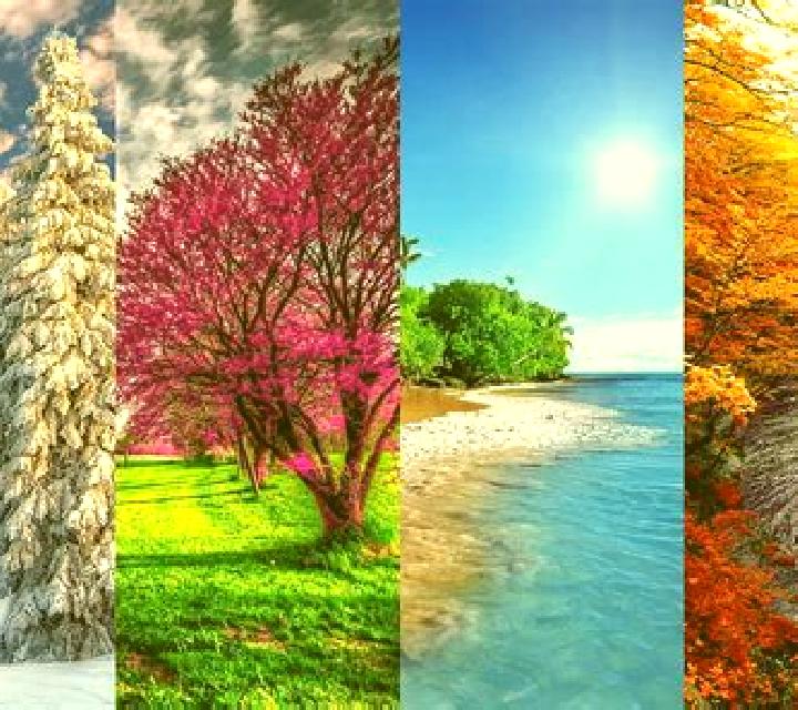 4 Seasons: Winter slot