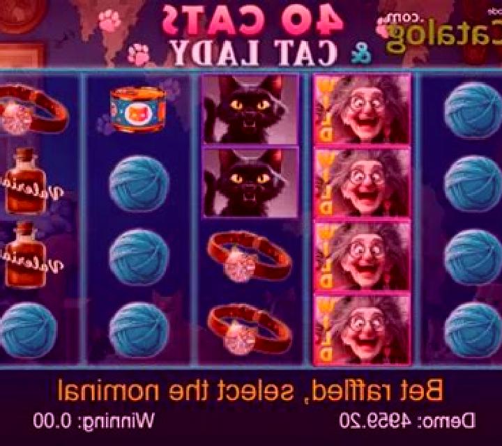 40 Cats And Cat Lady slot