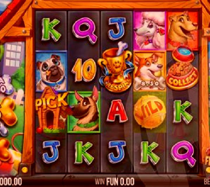 5 Doggy Dollars slot game