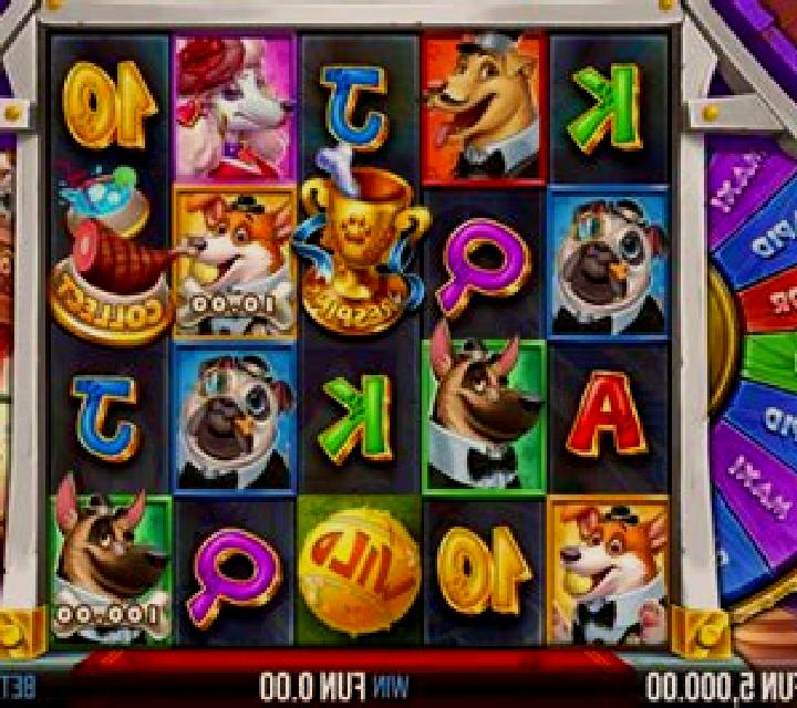 5 Doggy Millionaires Dream Drop slot game
