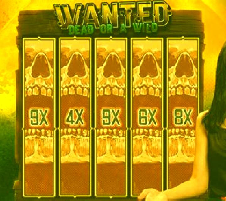5 Most Wanted slot machine
