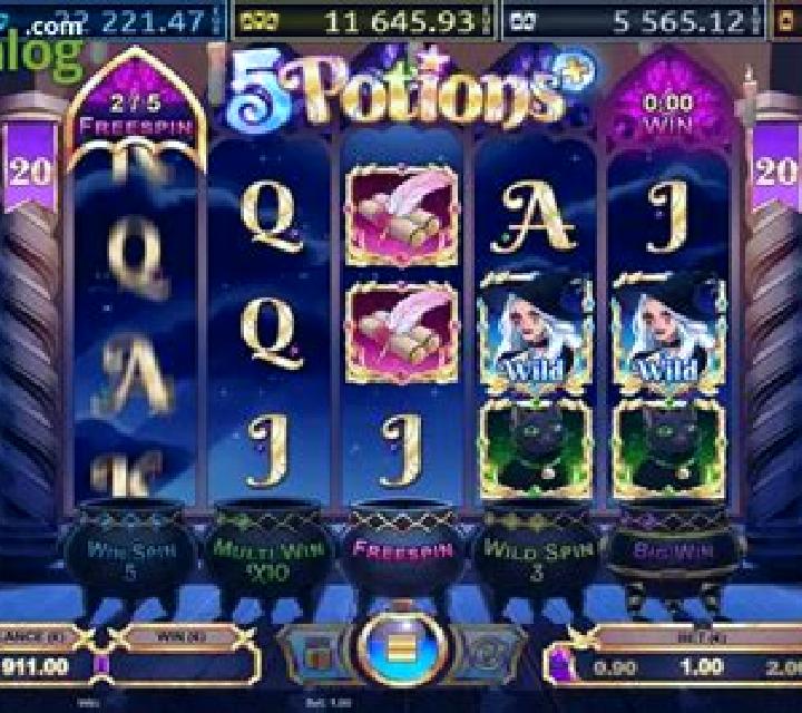 5 Potions+ slot