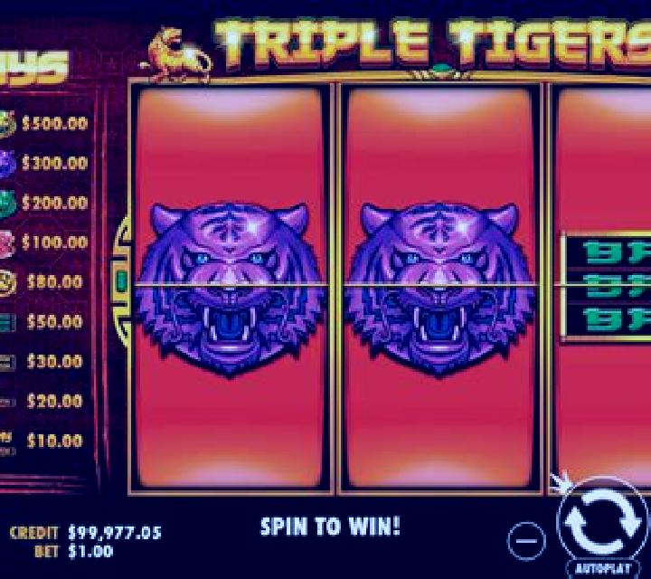 5 Tigers slot game