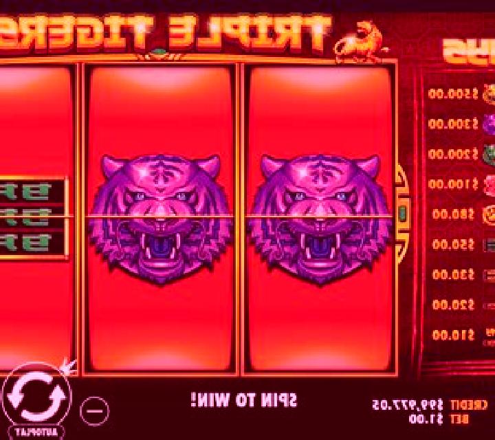 5 Tigers slot machine