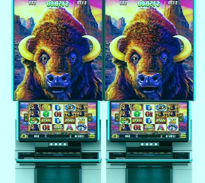 5 Wild Buffalo slot machine