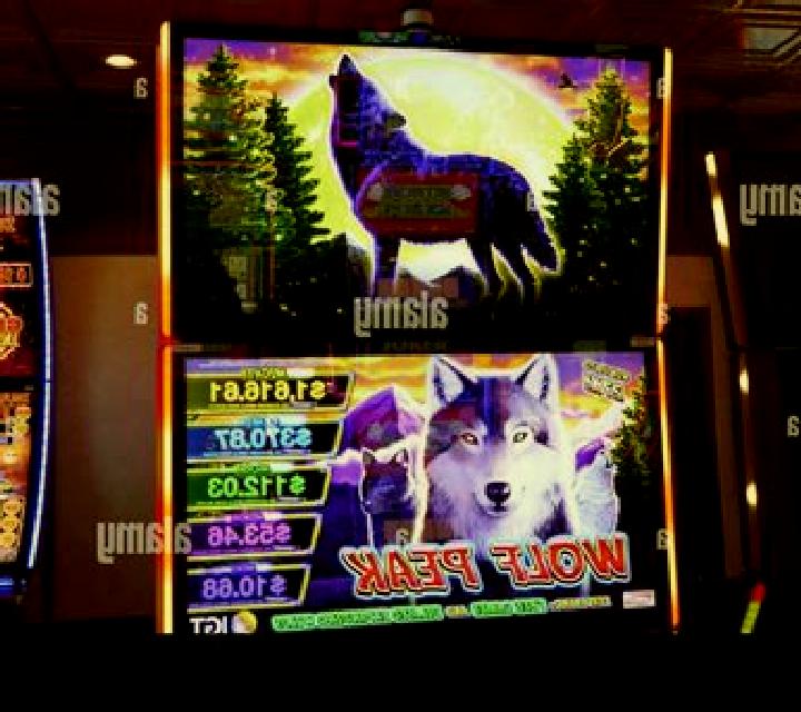 5 Wild Wolves slot machine