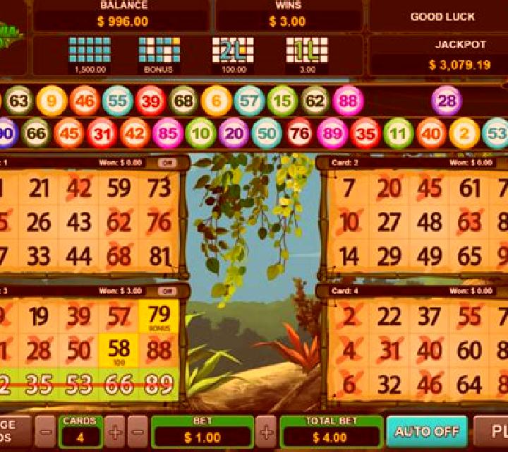 6 Bingo slot