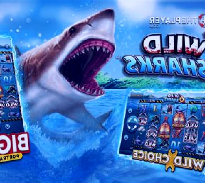 6 Wild Sharks online slot