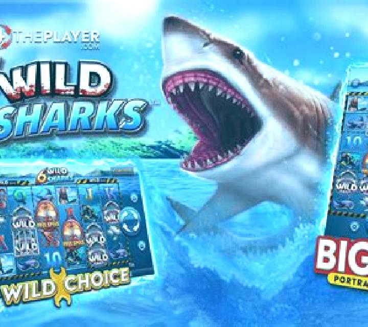 6 Wild Sharks slot machine