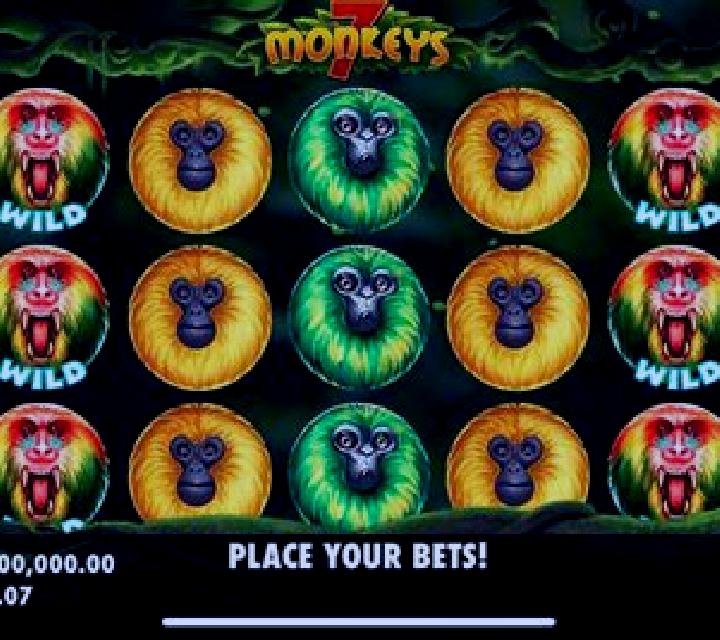 7 Monkeys slot