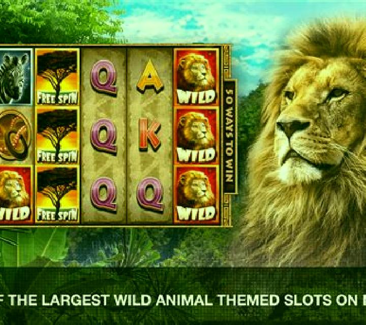 777 - Havana Nights slot machine