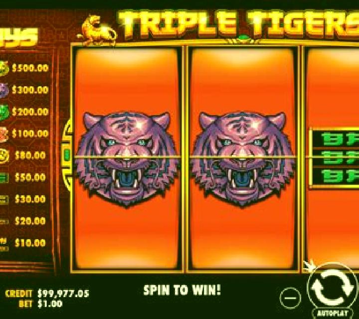 9 Tigers slot game