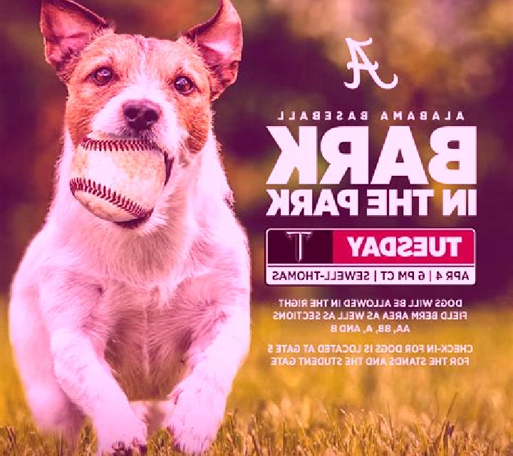 A bark in the park online slot