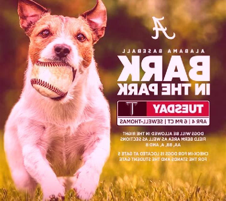 A bark in the park slot machine