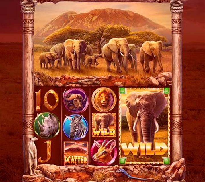 Aaaahhhh! Wild King slot