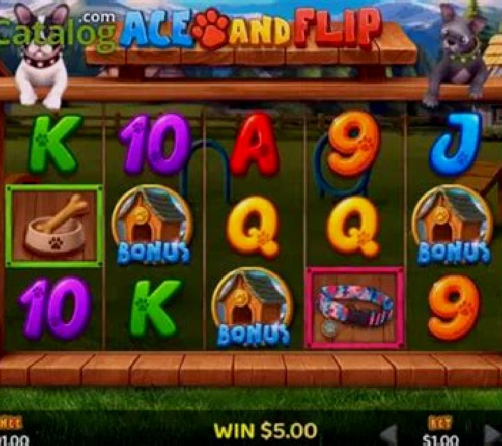 Ace and Flip slot