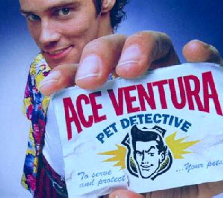 Ace Ventura Pet Detective slot game