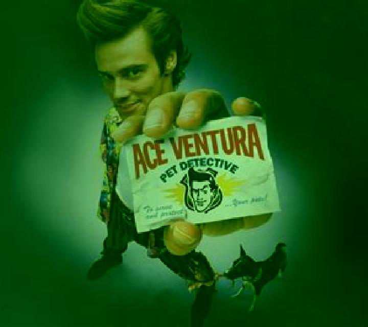 Ace Ventura Pet Detective Ultranudge slot machine