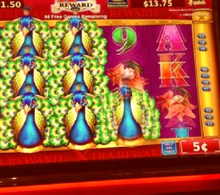 Adorned Peacock slot machine