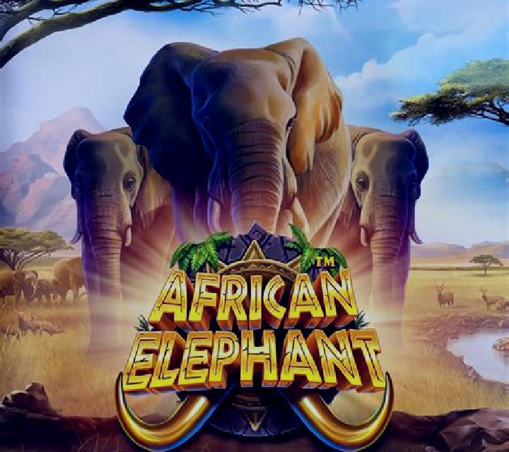 African Adventure slot