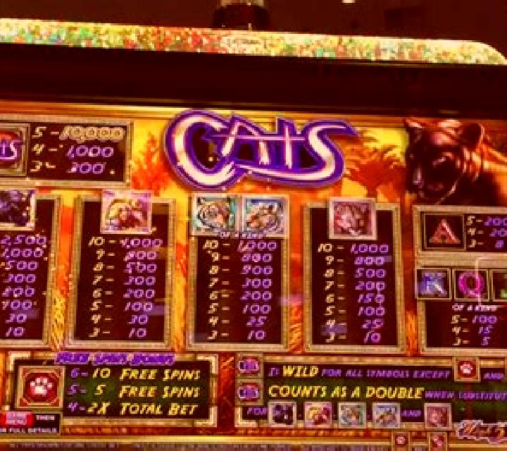 African Cats slot machine