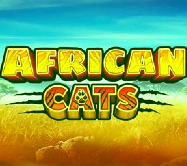 African Cats slot