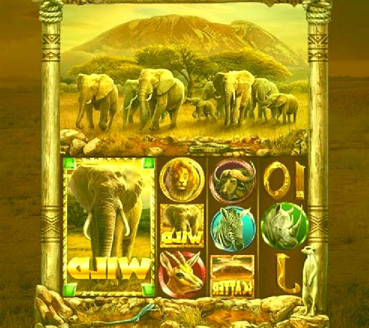 African King Hold n Link slot game