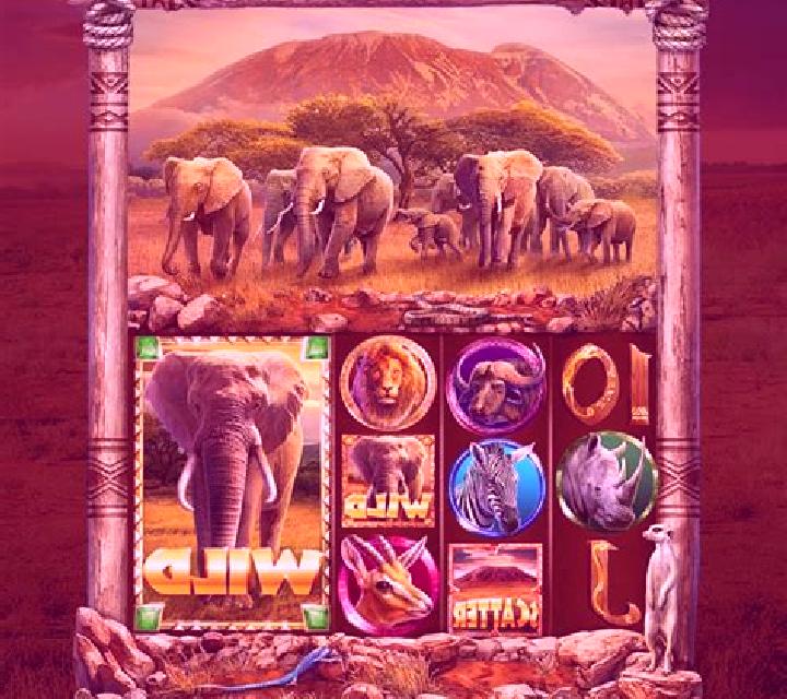 African King online slot