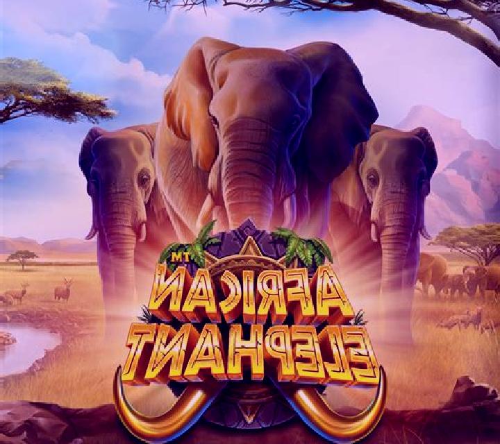 African Safari (X Card) slot machine