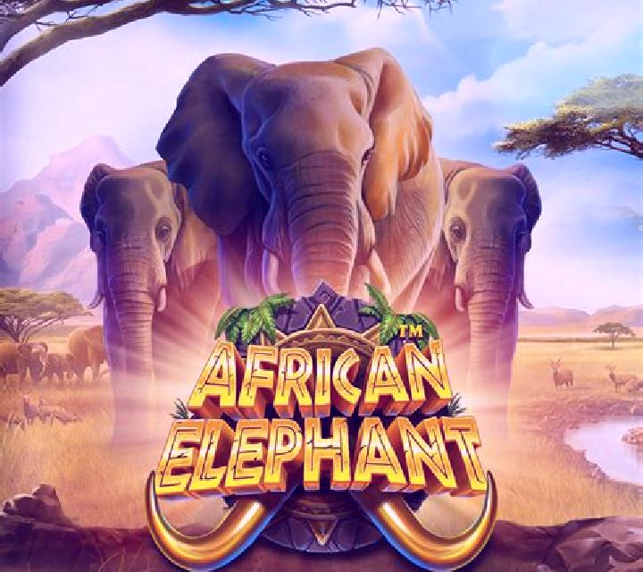 African Safari (X Card) slot